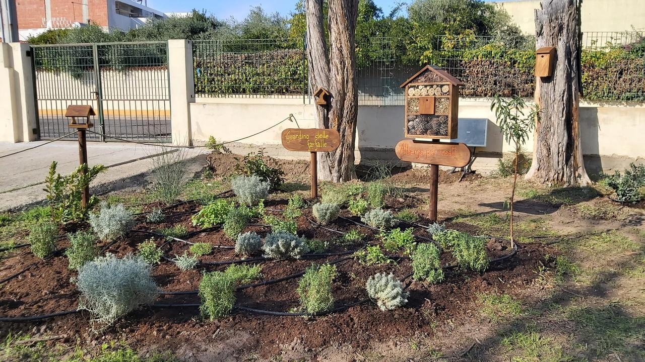 A scuola nasce l’Aula natura Wwf con piante, fiori e farfalle