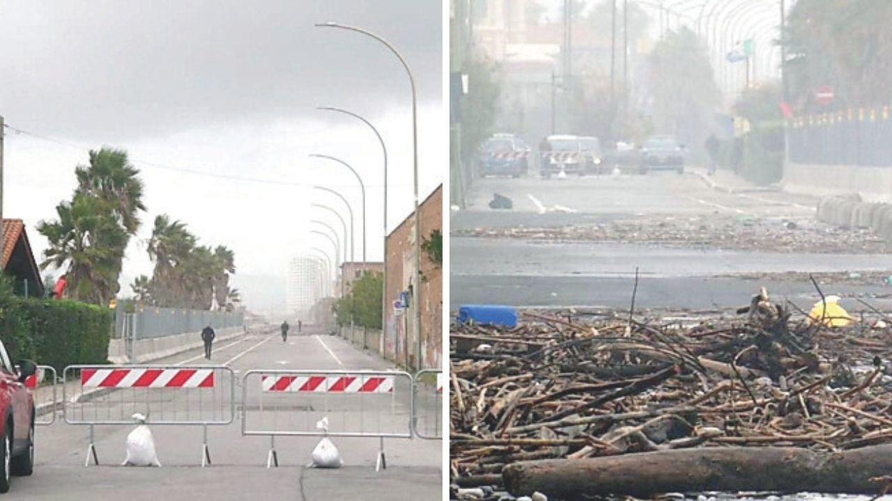 Il lungomare di Ponente invaso dai pini