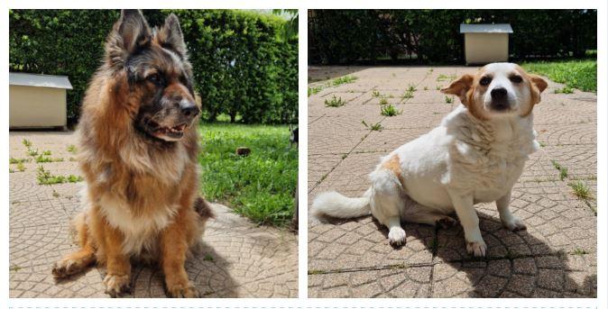 I proprietari si sono separati e ora la casa di Jack e Kelly è in vendita