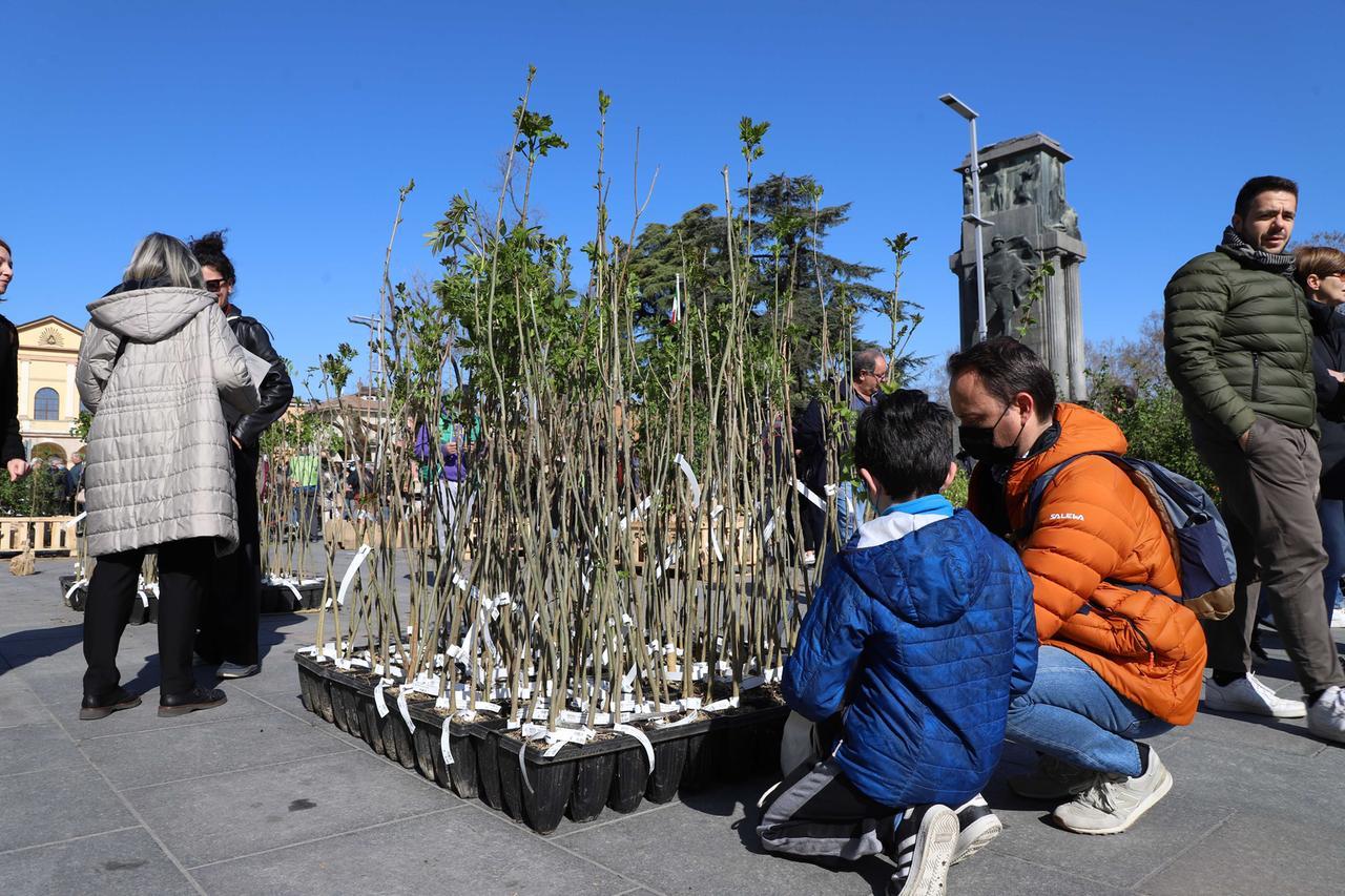 Giornata nazionale dell’albero: in regalo oltre 4.800 piante