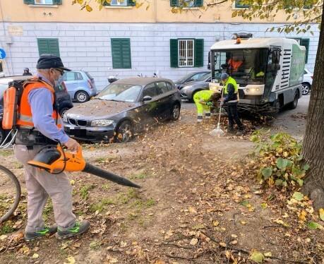Livorno, foglie a terra per il vento: via alla raccolta meccanizzata