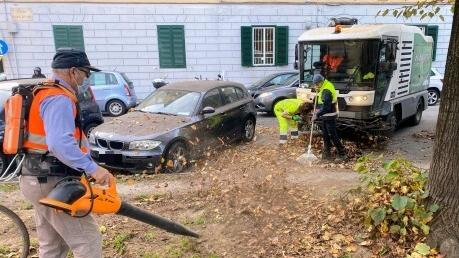 Livorno, foglie a terra per il vento: via alla raccolta meccanizzata