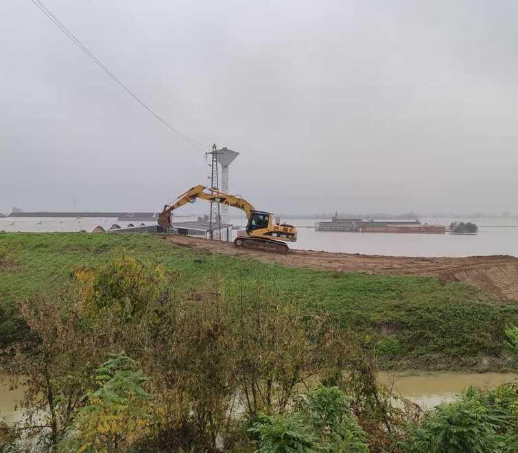 Aipo: «Imprudente dire che sono state le tane a far crollare gli argini»