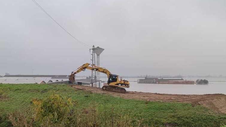 Aipo: «Imprudente dire che sono state le tane a far crollare gli argini»