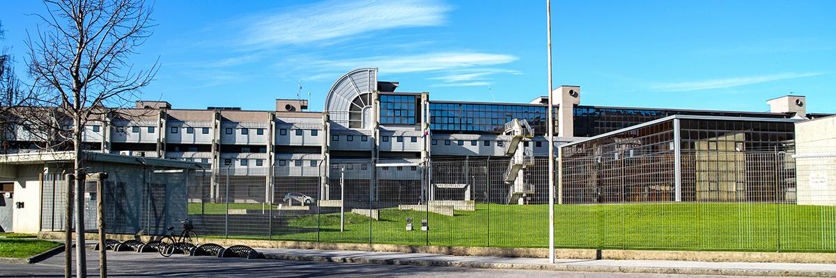 Un topo manda in tilt il Tribunale di Prato