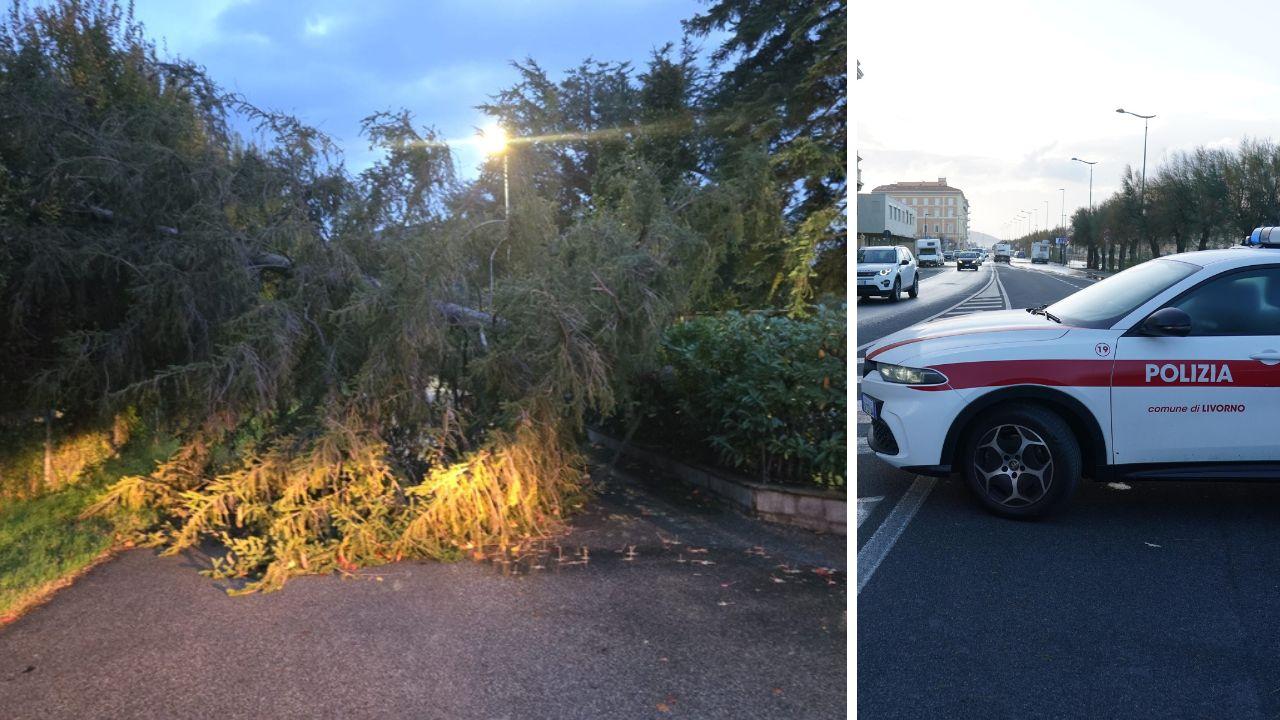 
	La Toscana ancora colpita dal maltempo

