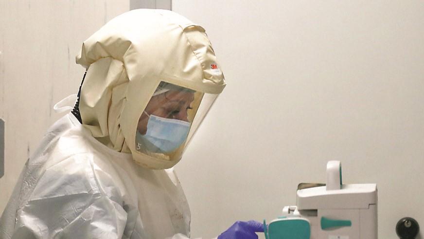 Malaria, parla l’infettivologo: «Diventa letale solo se trascurata a lungo»