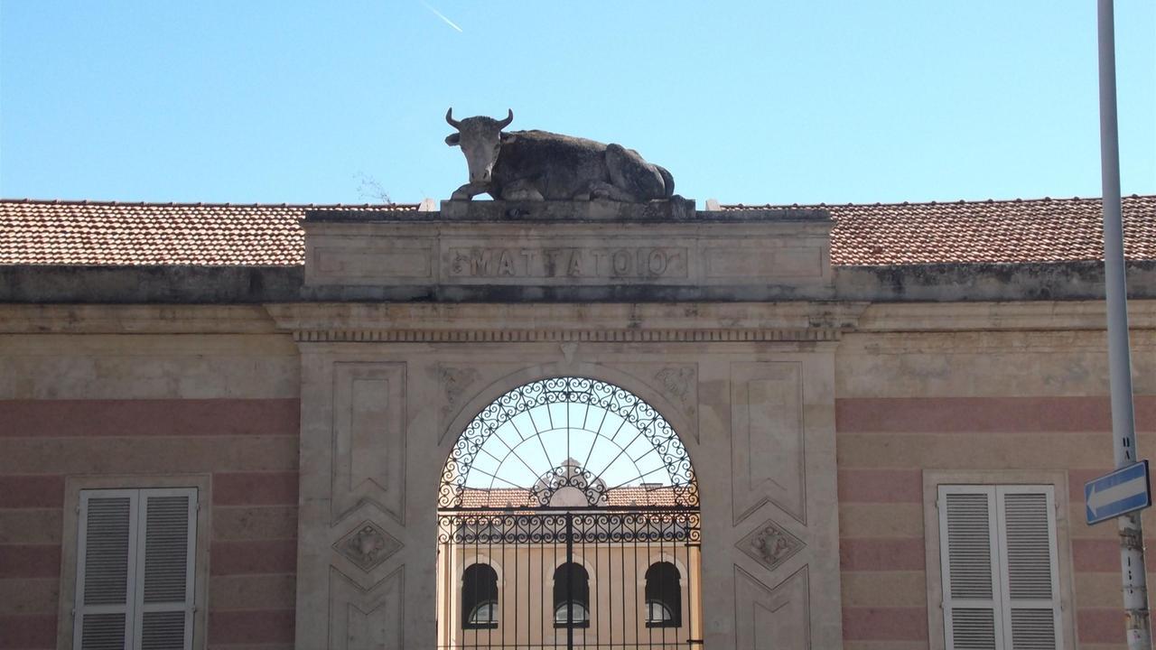 Sassari, dal mito di Edipo al queer: ultima serata di Mod.Ac. festival culturale