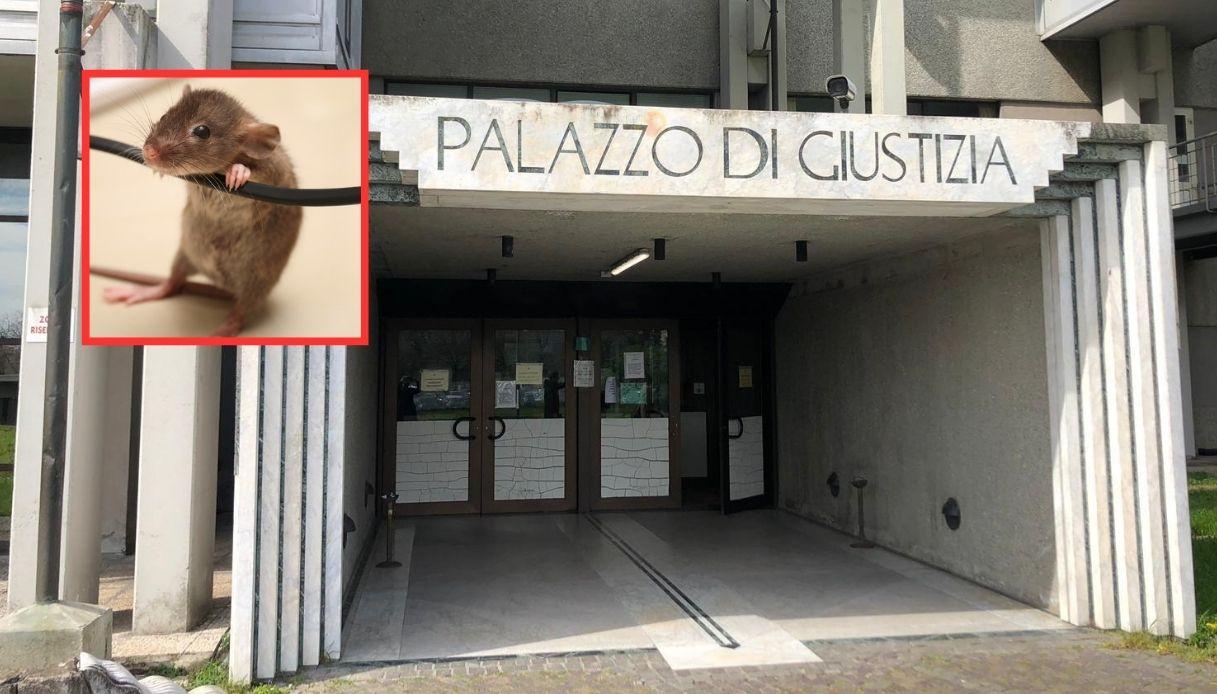 Il black out del topo nel Tribunale di Prato non è stato ancora risolto