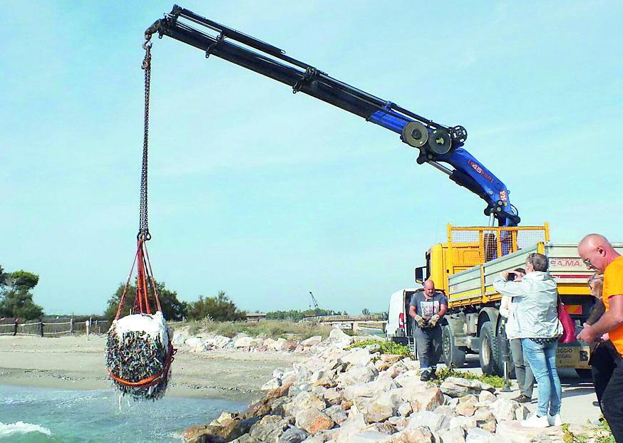 
	Il recupero di una delle ecoballe gettate in mare al largo di Piombino dalla nave IVY13 (foto Paolo Barlettani)

