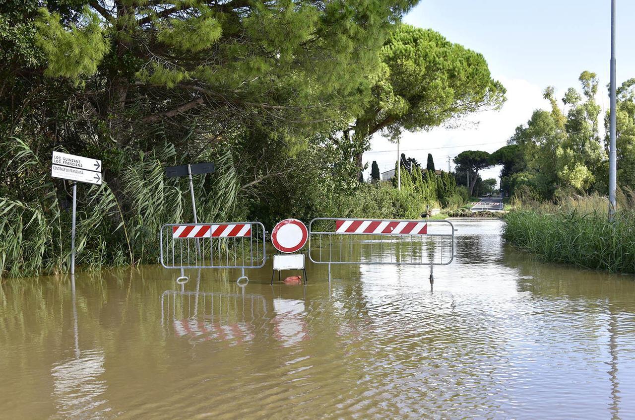 
	Gli effetti del maltempo tra il 17 e 18 ottobre (qui la provincia di Livorno, foto Barlettani)

