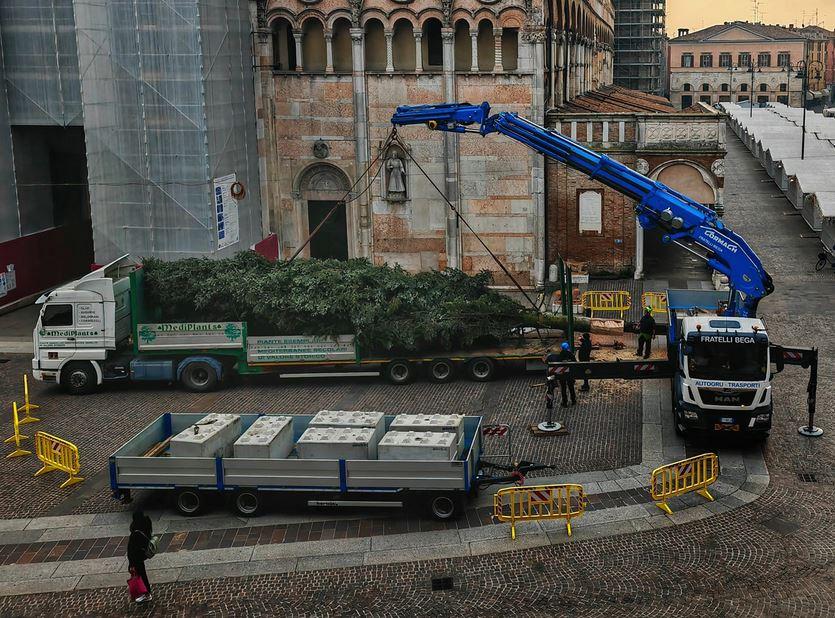 L’albero di Natale è arrivato a Ferrara