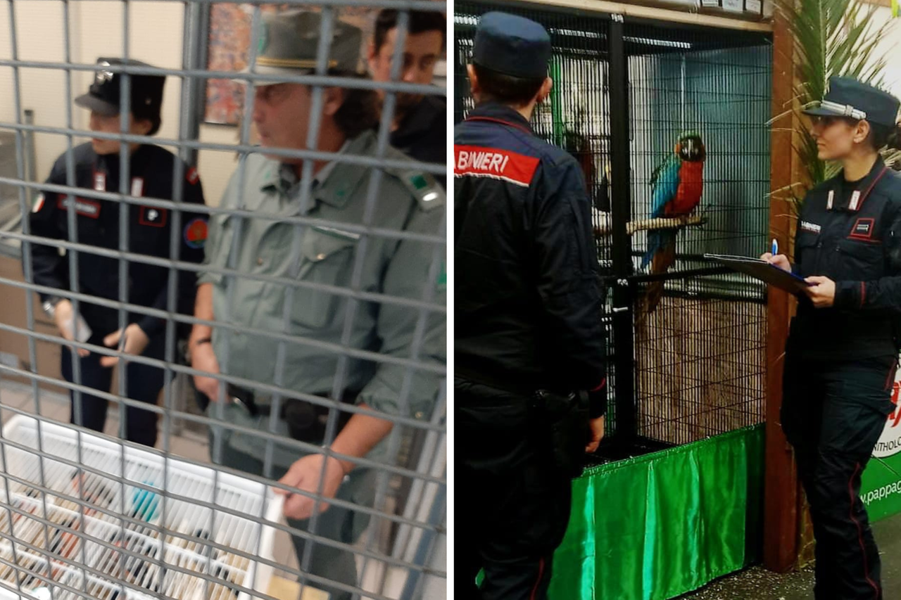 
	I controlli dei carabinieri in fiera

