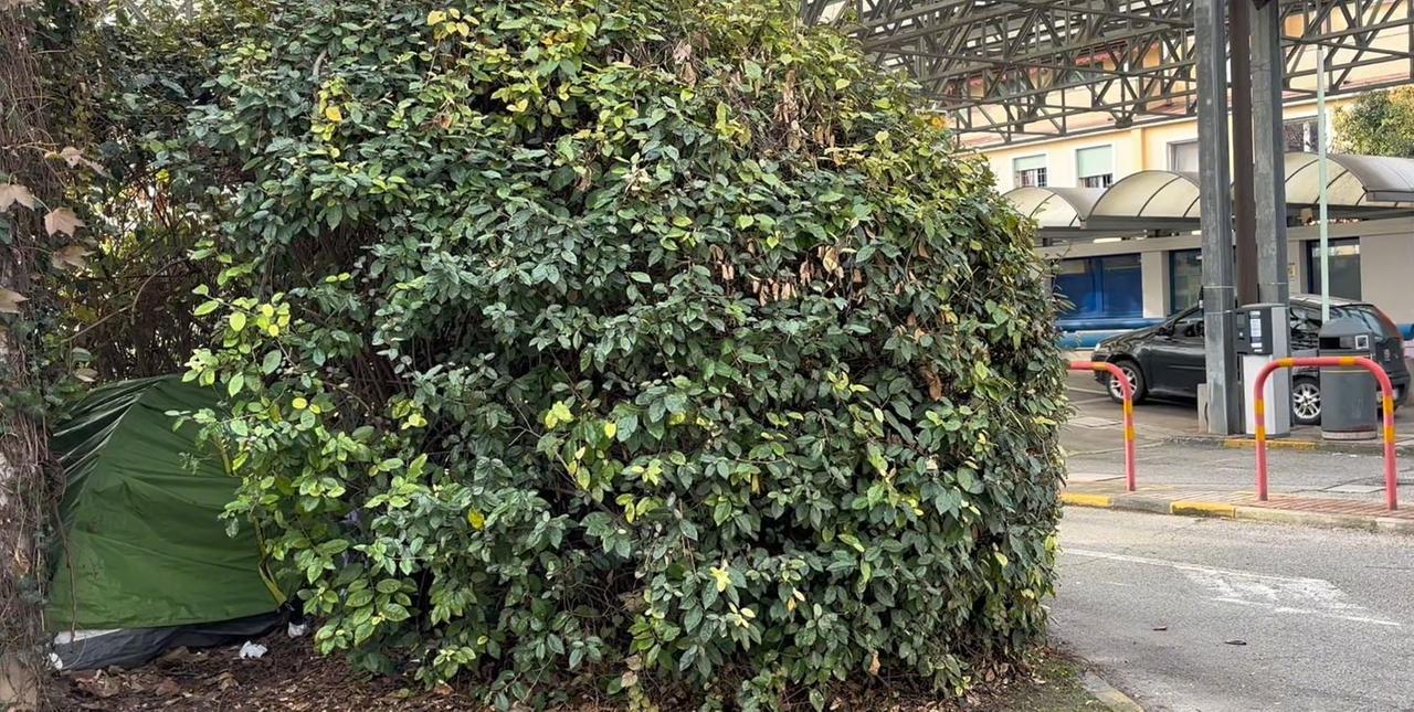 “Invisibili” a Ferrara, una tenda tra la siepe come casa