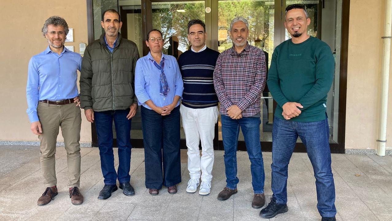 Gli studi sui muggini nel manuale Fao: «Sardi pionieri nella riproduzione»