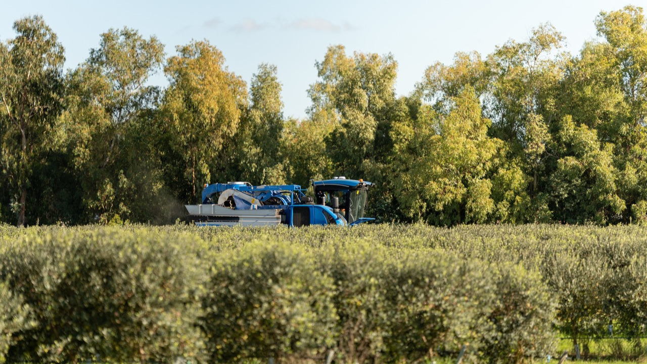 Una macchina agricola di Arte Olio per la coltivazione superintensiva
