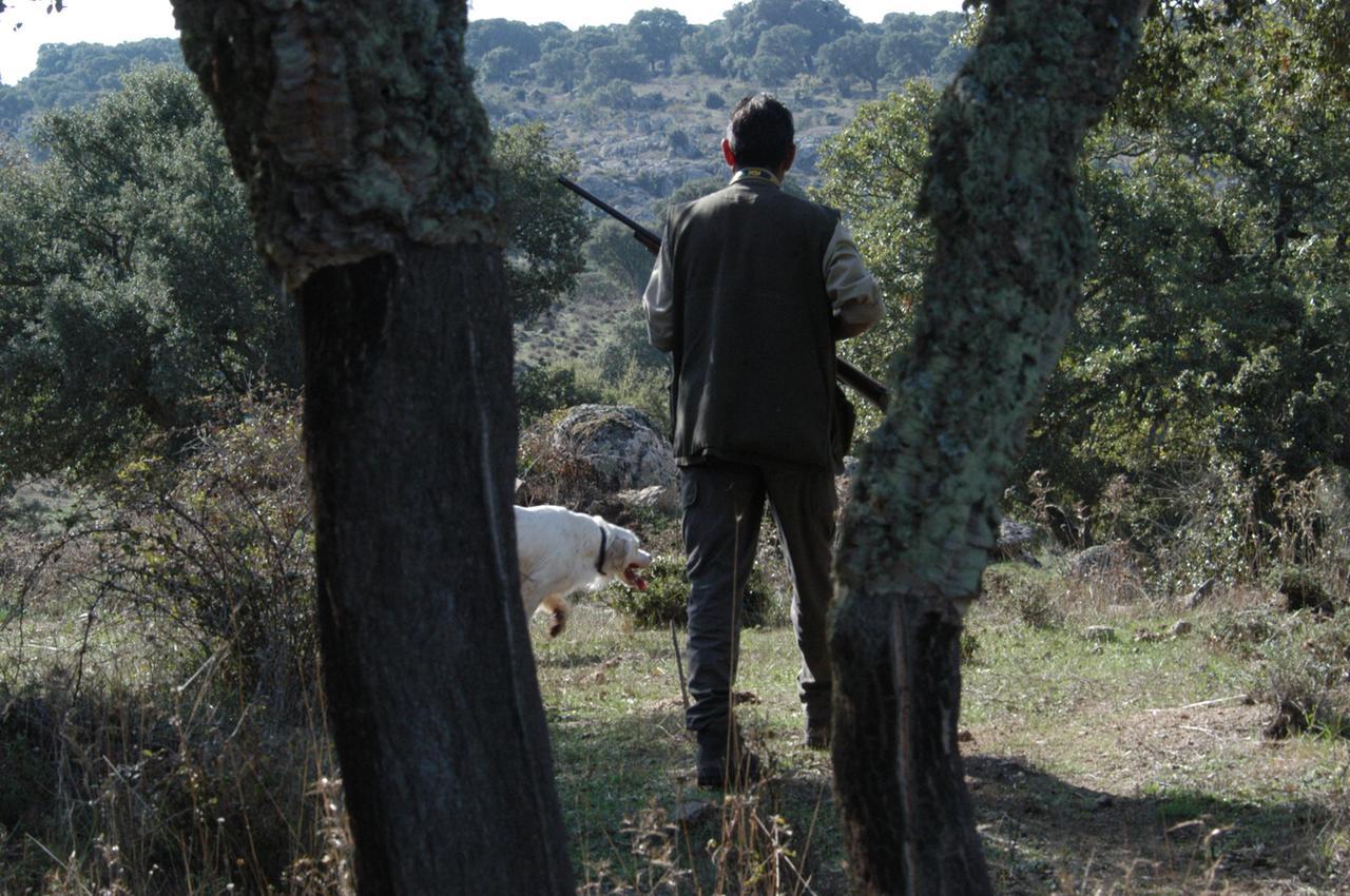 
	Cacciatori <em>(foto di Claudio Gual&agrave;)</em>

