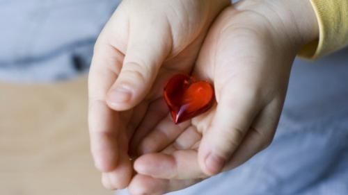 Foto simbolo della donazione degli organi