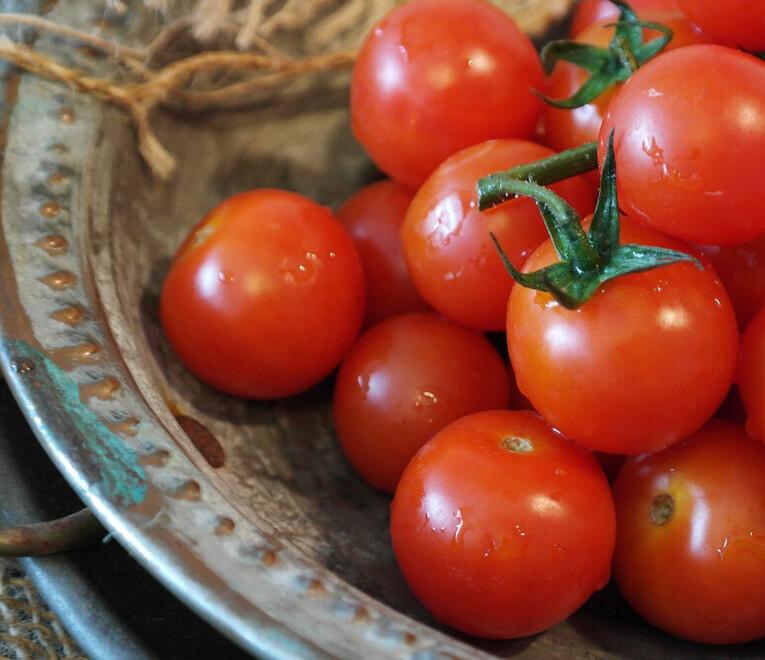 Salmonella, i casi nelle mense toscane dovuti ai pomodorini di Sicilia: «È un nuovo tipo». Cosa succede ora