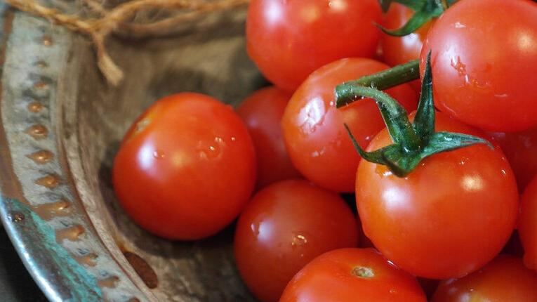 Salmonella, i casi nelle mense toscane dovuti ai pomodorini di Sicilia: «È un nuovo tipo». Cosa succede ora