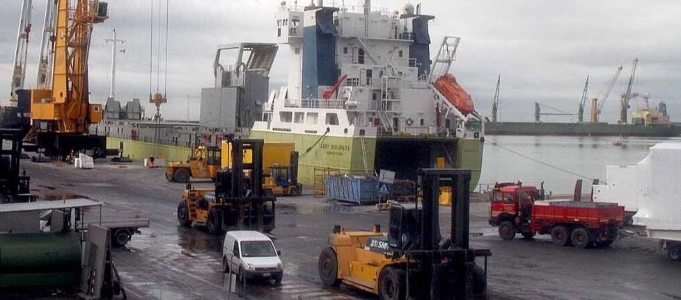 Porto di Carrara, inizia il toto-presidente: Montaresi sulla rampa di lancio