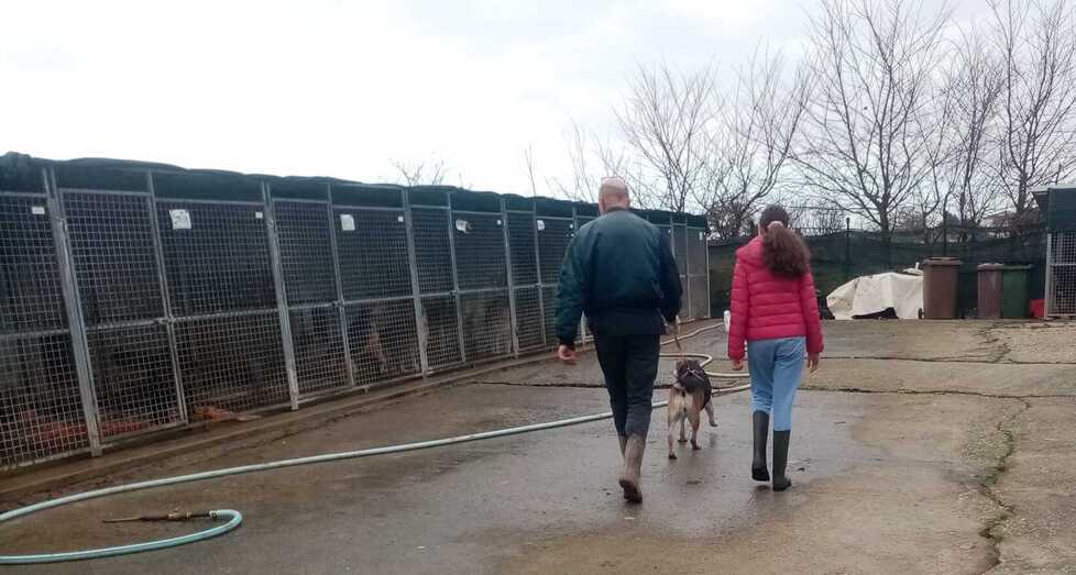 Impronte d’amore<br type="_moz" />
