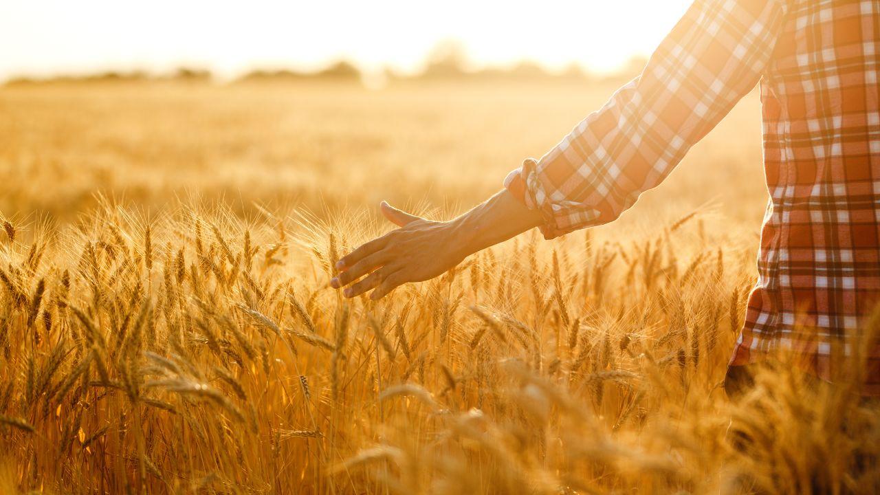 Un momento di rilancio per l'agricoltura pisana e livornese 