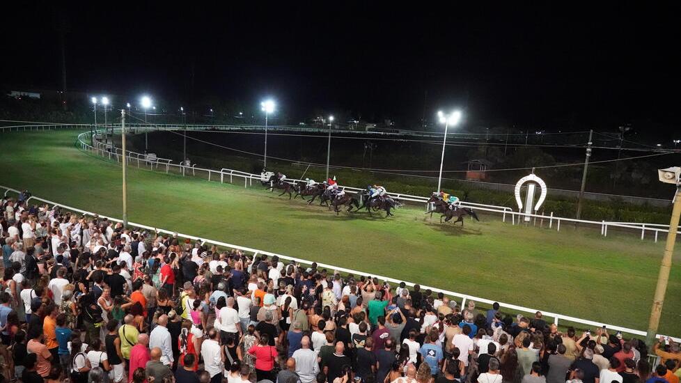 Alessandro Lazzaro: «Il Caprilli orgoglio dei livornesi e noi lo porteremo in serie A»