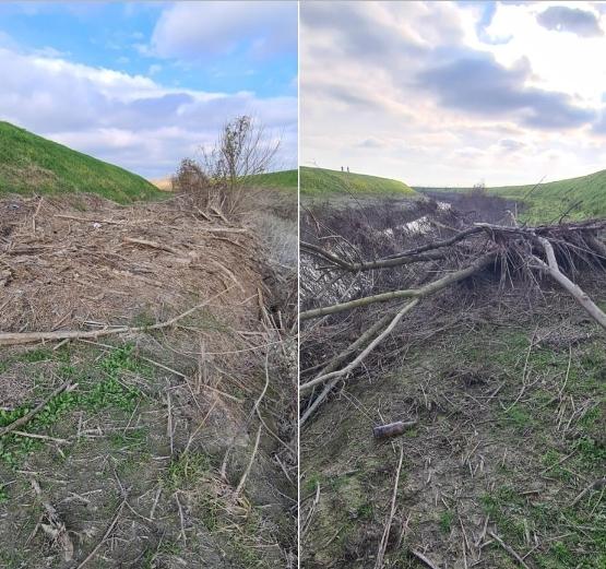 I comitati della Bassa Reggiana ad Aipo: «Sistemate i detriti della piena»