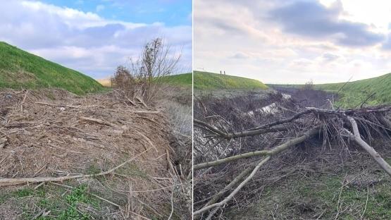 I comitati della Bassa Reggiana ad Aipo: «Sistemate i detriti della piena»