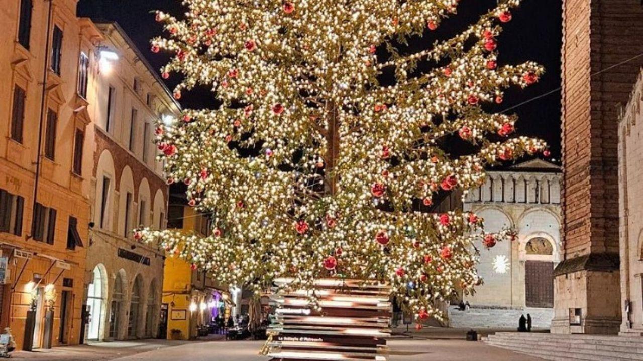 
	L&rsquo;albero di Natale poggiato sull&rsquo;installazione artistica di&nbsp;Michele Vitaloni

