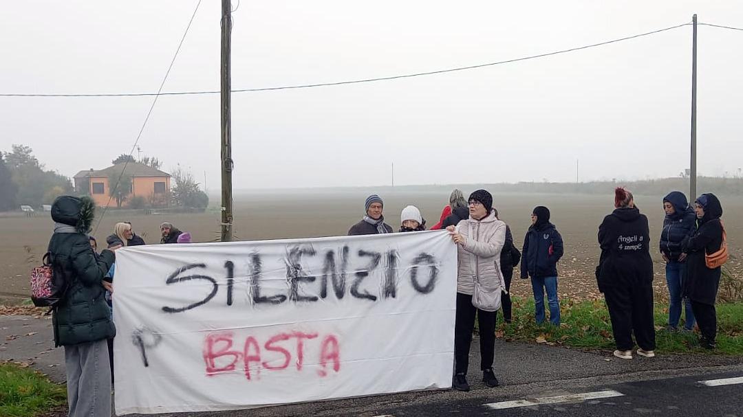 Rifugi dei cani a Bondeno, la proprietaria non potrà prenderne altri