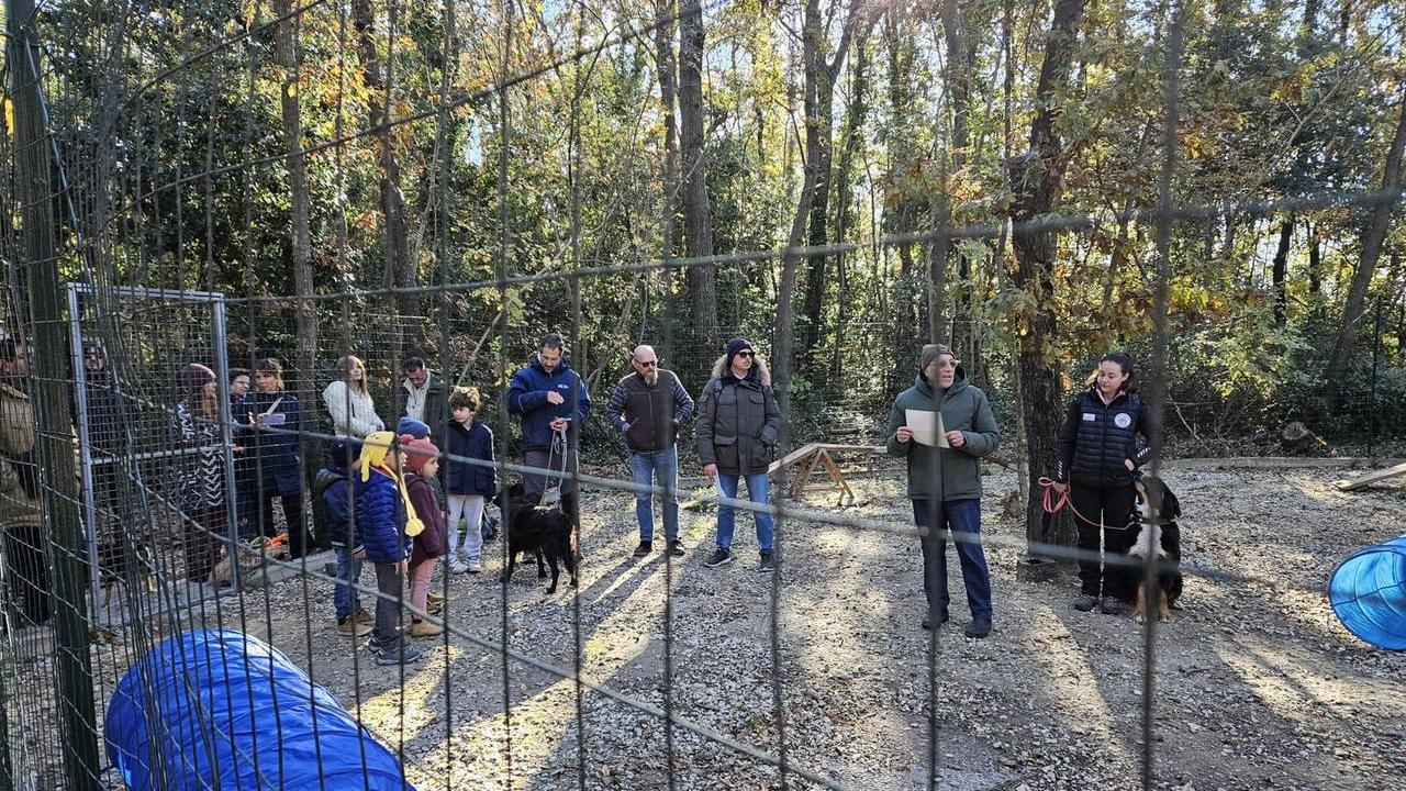 Oltre 100 adozioni in 4 anni, l’open day del canile comunale di Livorno è un successo