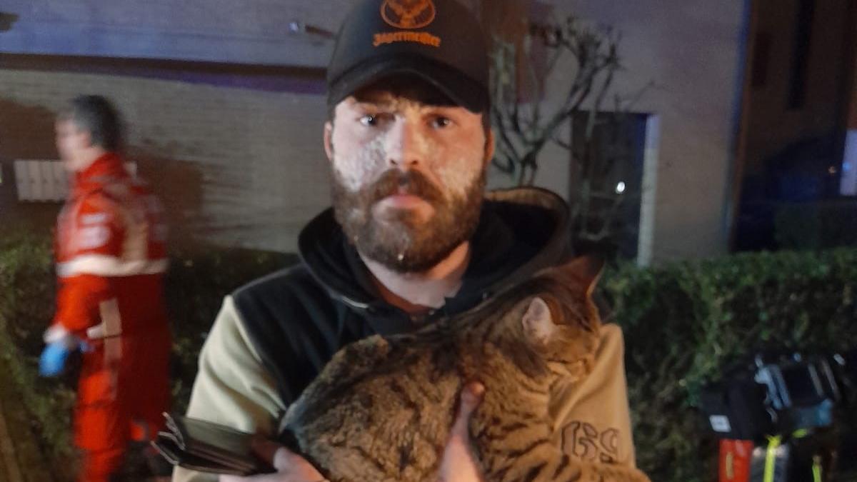 «Mi sono addormentato con la sigaretta accesa: così la mia gatta mi ha salvato dalle fiamme»