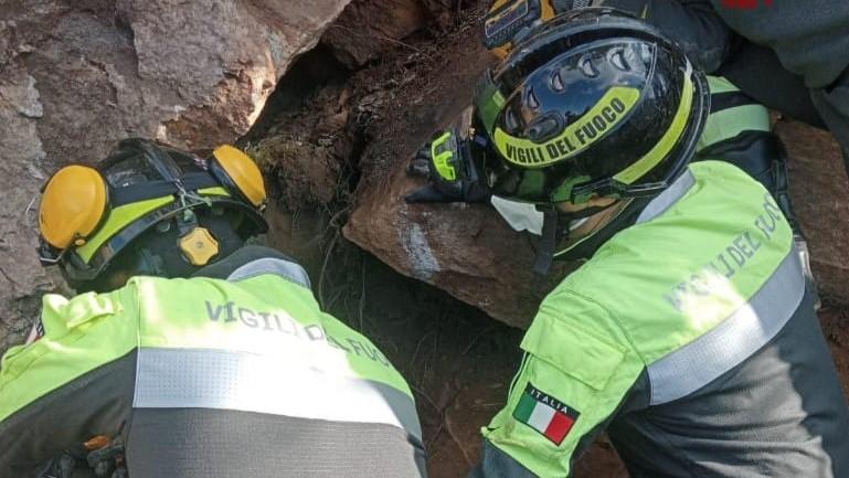 Cane da caccia caduto tra le rocce: l’intervento di recupero in corso da ore
