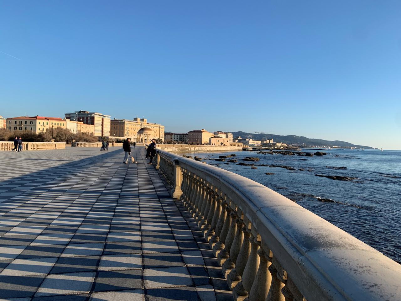 Livorno baciata dal sole. Grazie Ines Baracchino
