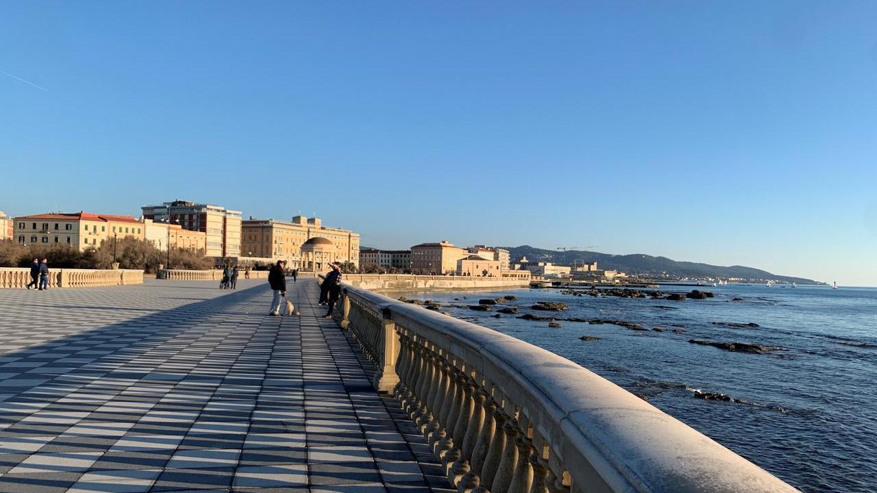 Livorno baciata dal sole. Grazie Ines Baracchino