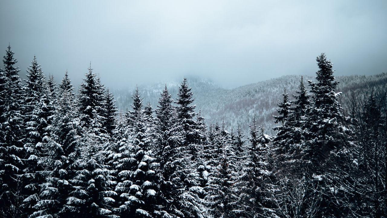 
	Torna la neve in Toscana&nbsp;

