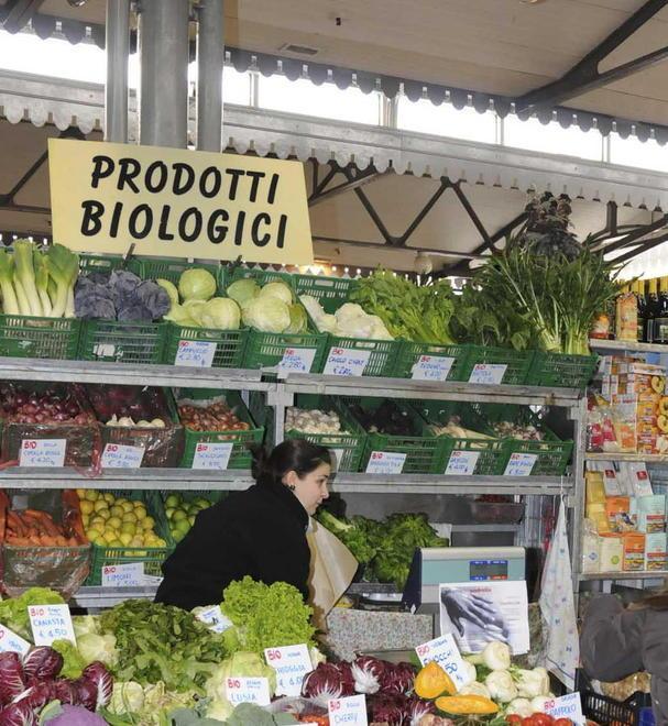 Colture bio, toccasana per superare la crisi dei consumi 