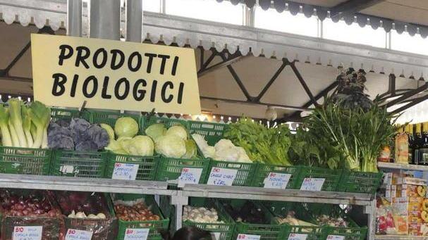 Colture bio, toccasana per superare la crisi dei consumi