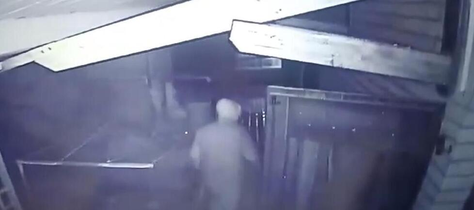 
	Le telecamere di sorveglianza di una villetta hanno ripreso il ladro

