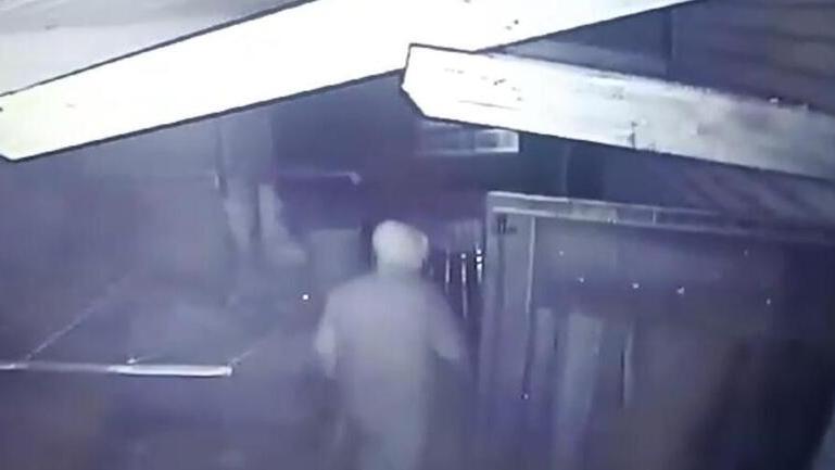 Le telecamere di sorveglianza di una villetta hanno ripreso il ladro