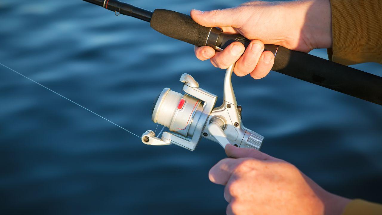 Il settore interessato è quello della pesca