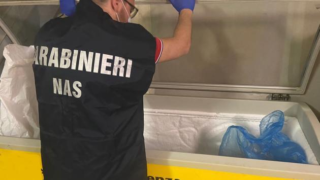 
	Un carabinieri del Nas al lavoro (foto d'archivio)

