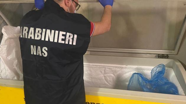 Un carabinieri del Nas al lavoro (foto d'archivio)