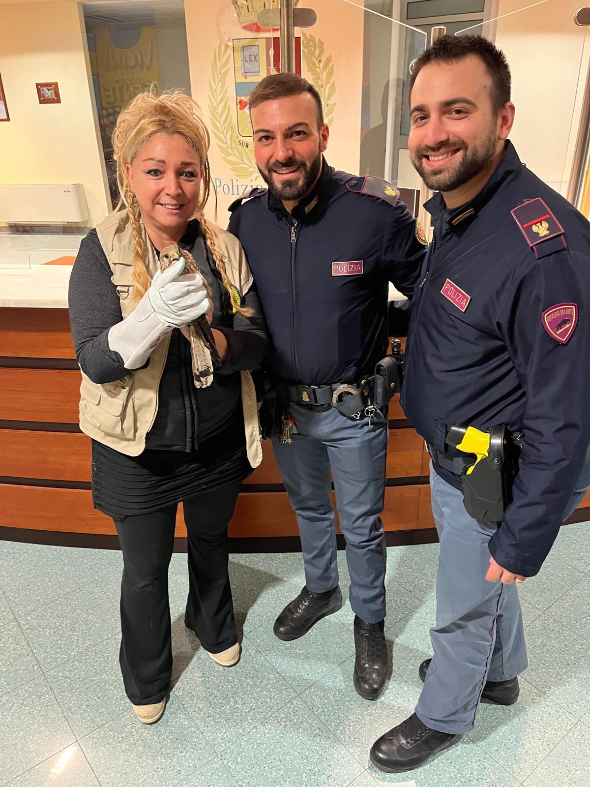 Grosseto, poliziotti salvano un falco gheppio