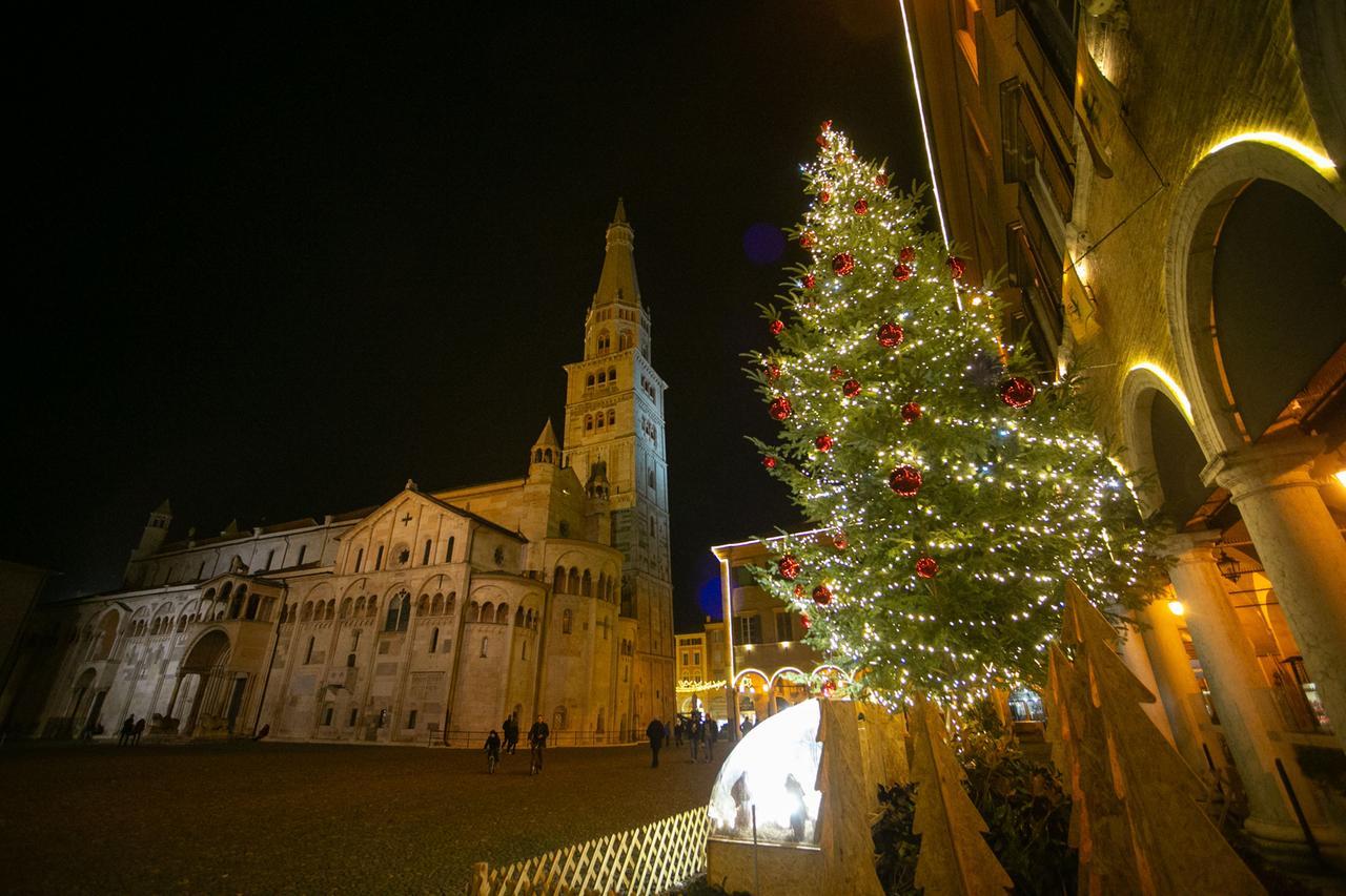
	L'albero e piazza Grande illuminati per aspettare il Natale

