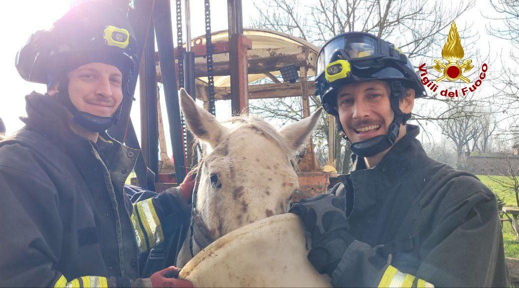 I vigili del fuoco con il cavallo salvato