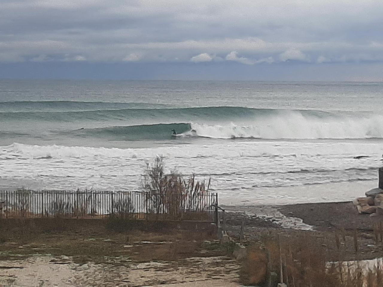 Livorno-surf, che belle onde tutte da cavalcare