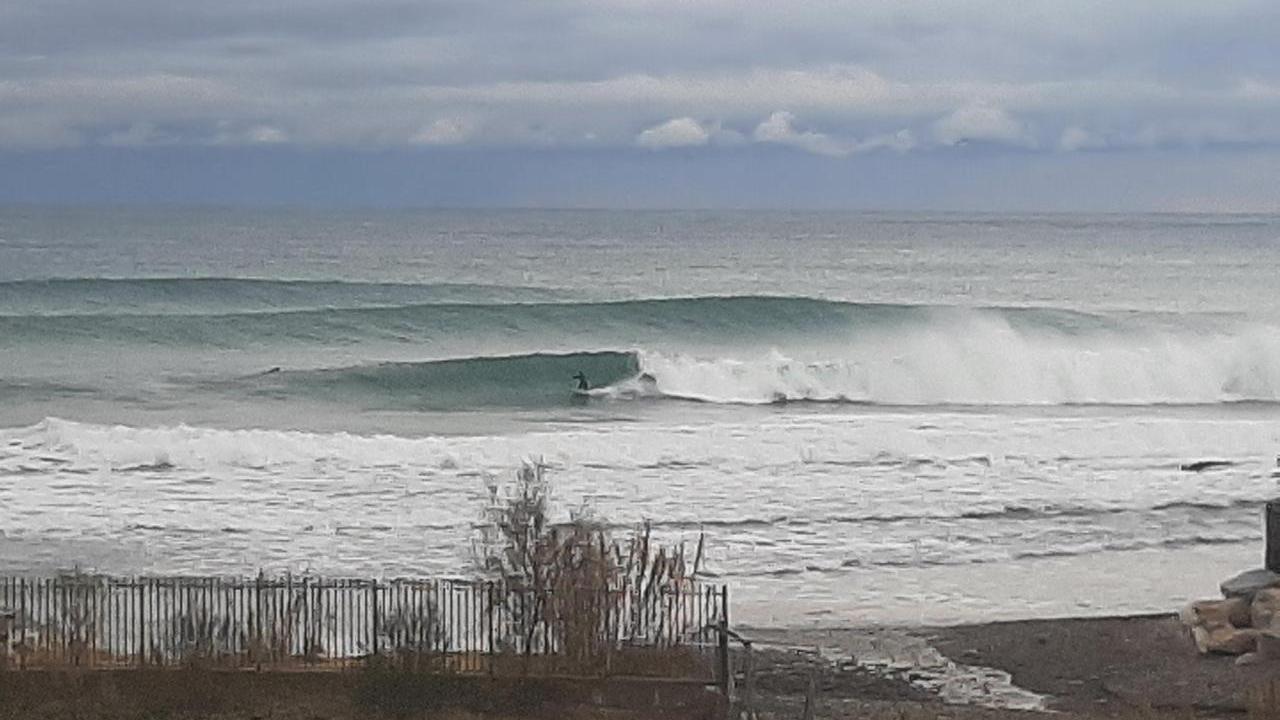 Livorno-surf, che belle onde tutte da cavalcare